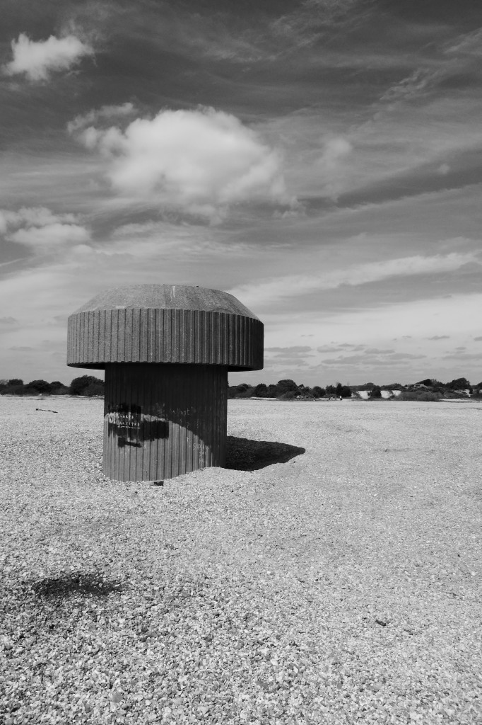 Mushroom in a Landscape Photography